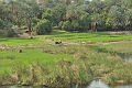 10 02 13_Egypt_0450